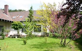 Pension Haus Zum Schlehenberg