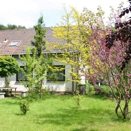 Pension Haus Zum Schlehenberg Bayreuth Exteriér fotografie